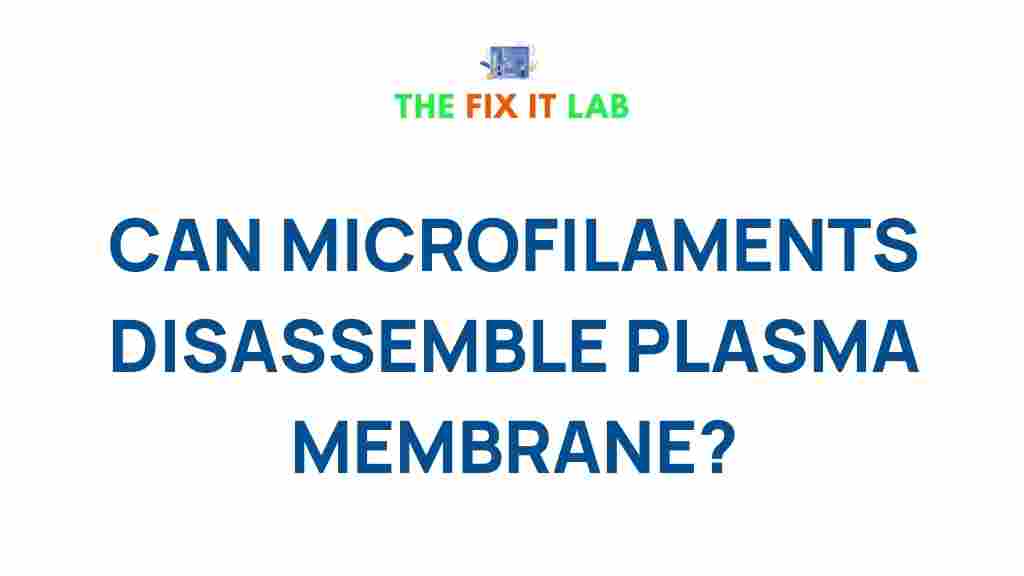 microfilament-disassembly-plasma-membranes