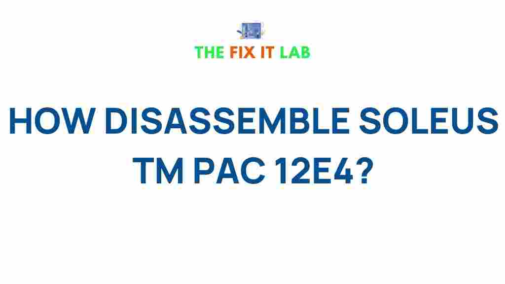 dismantling-soleus-tm-pac-12e4