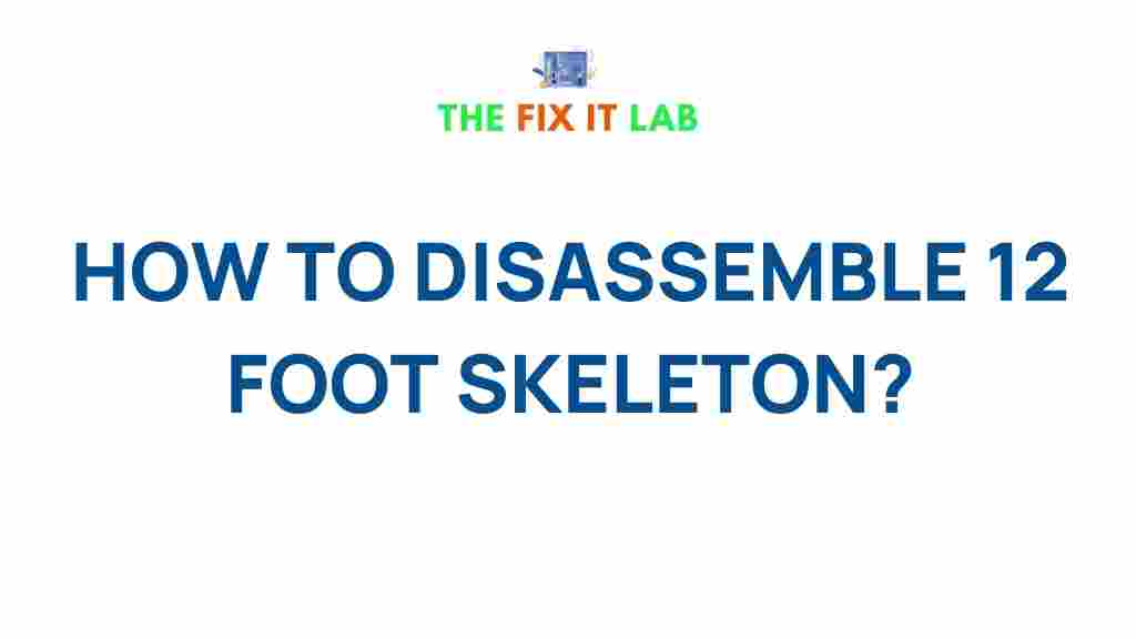 diy-skeleton-assembly