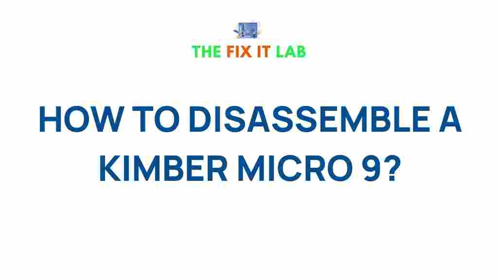 disassemble-kimber-micro-9