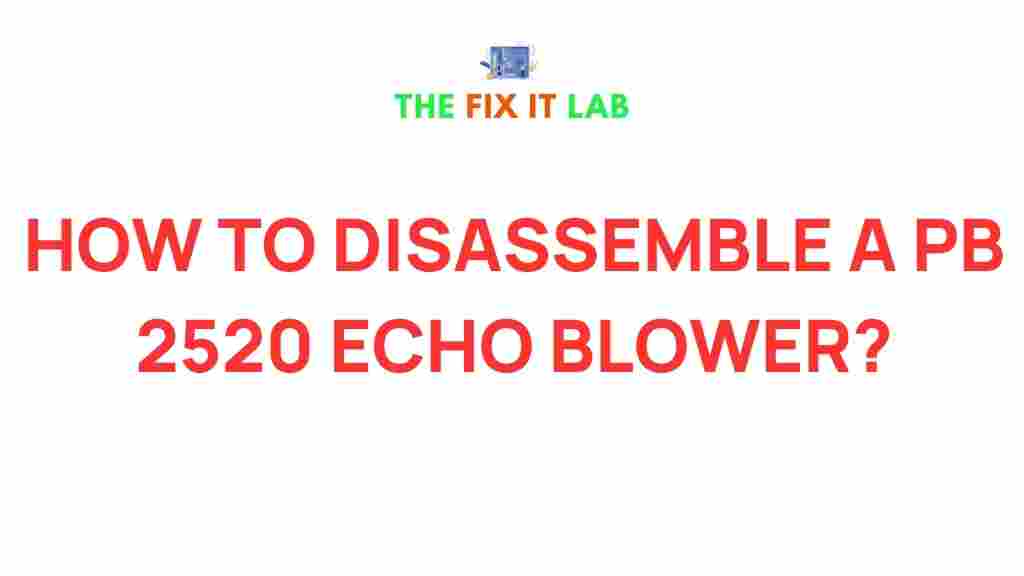 pb-2520-echo-blower-disassembly-guide