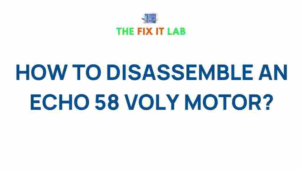 dismantling-echo-58-voly-motor