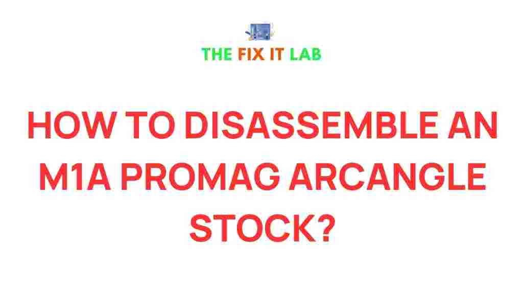 m1a-promag-arcangle-stock-disassembly
